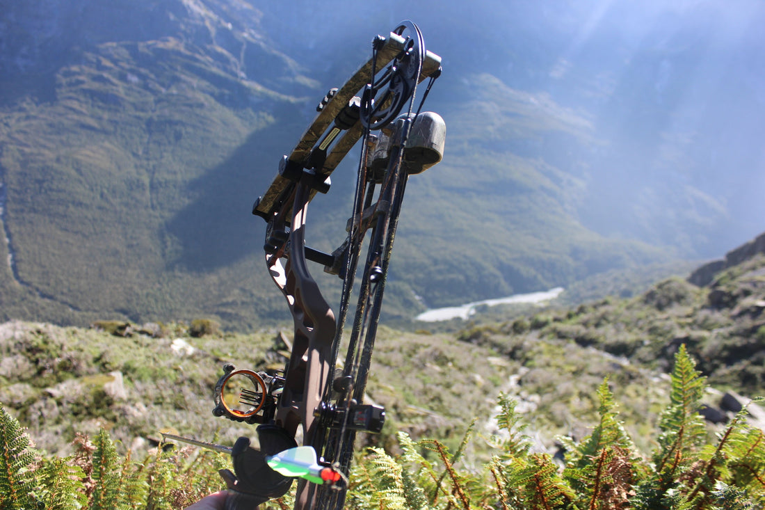 Karangarua Tahr Cull By Bow