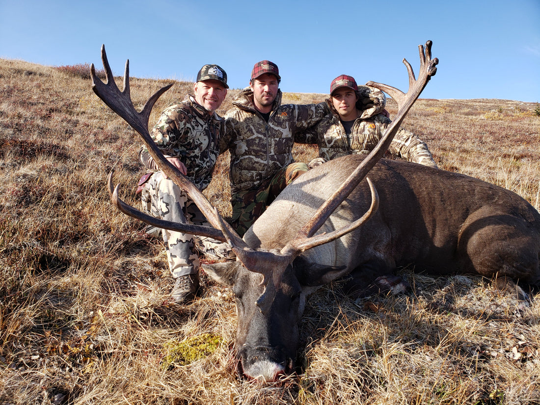 caribou-yukon-first-lite