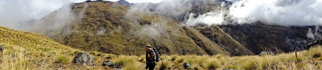 hunting roaring tussock stags