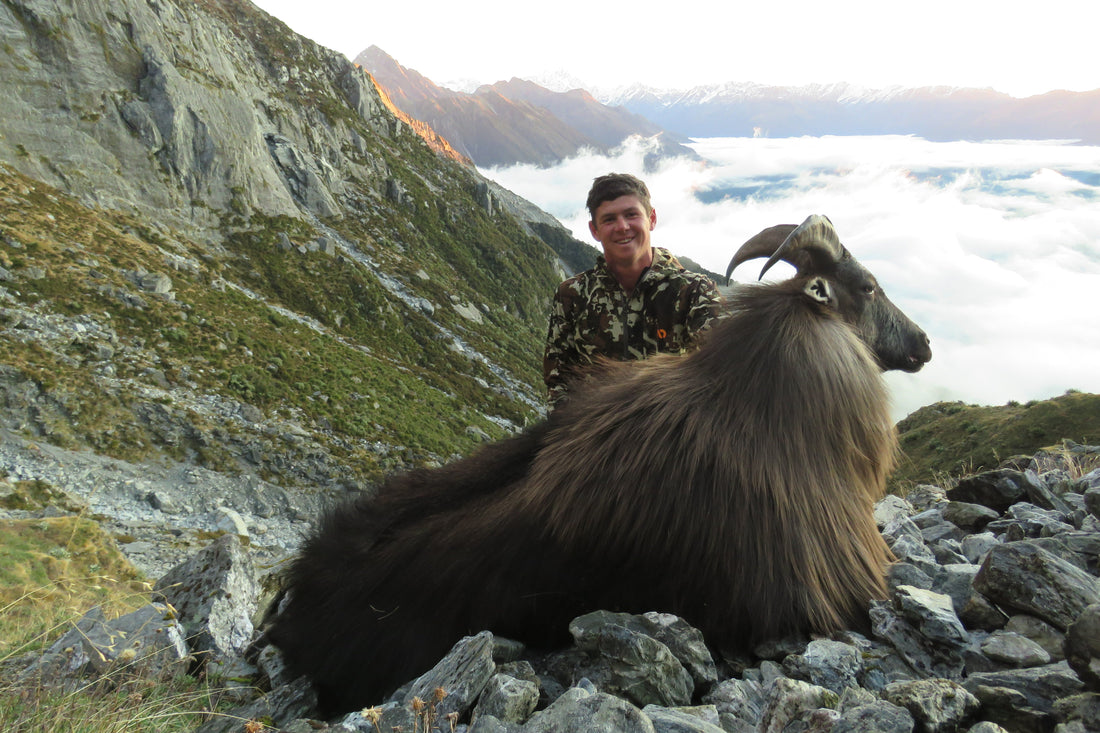 Bull Tahr First Lite