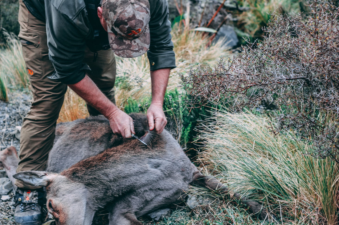 processsing a deer with shaun monk