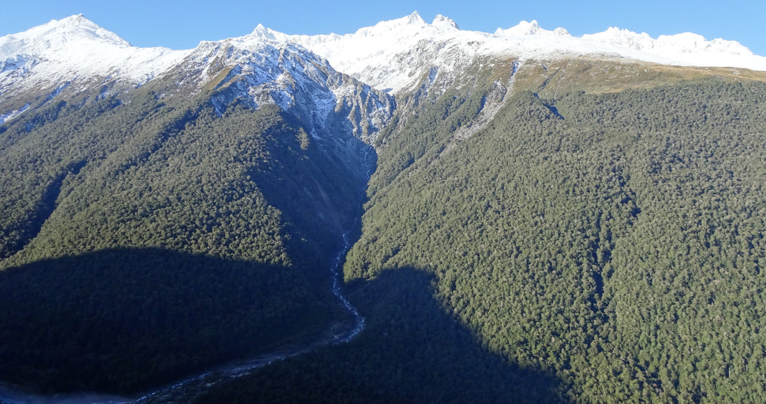 Tahr ballot baker creek