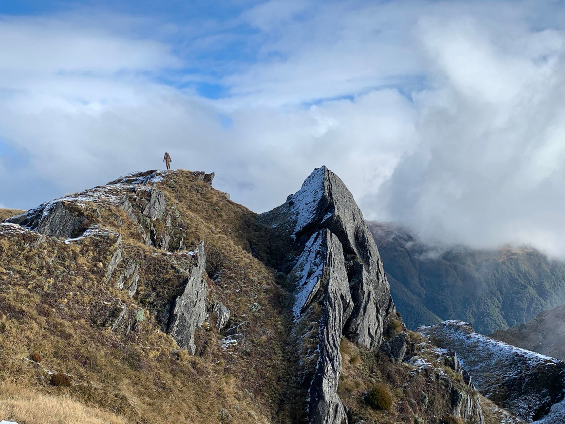 tahr hunter on a ridge in westland