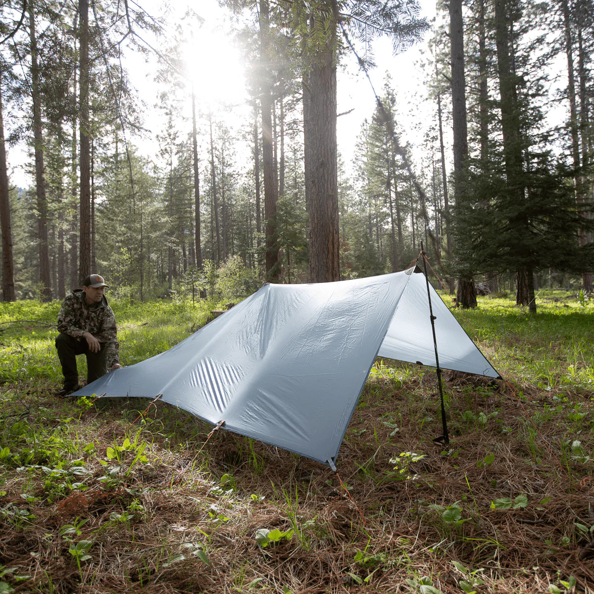 Argali Talus Tarp 11