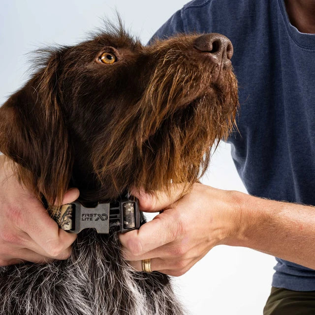 First Lite Dog Collar