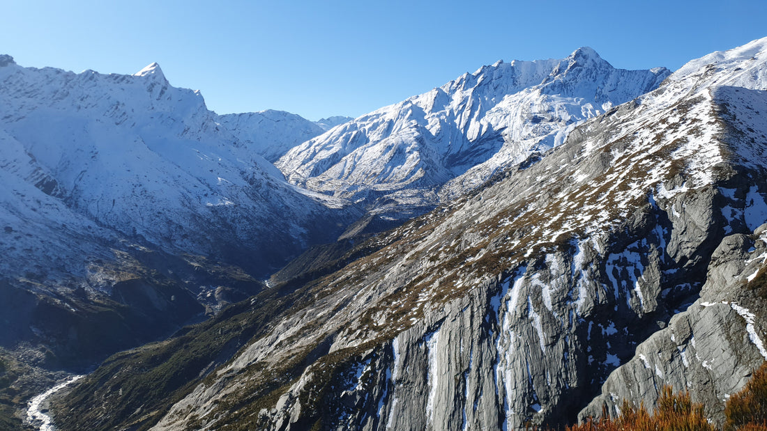 landsborough tahr hunting ballot