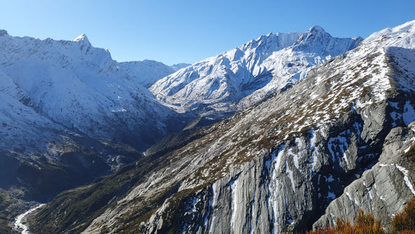 landsborough tahr hunting ballot
