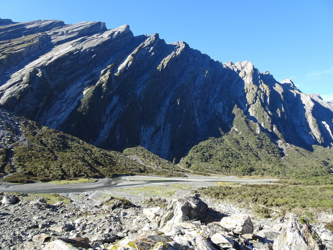 tahr ballot The Jacobs