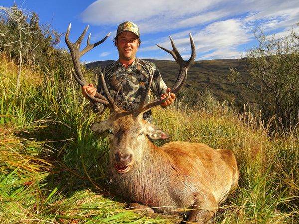 classic otago 14 point stag