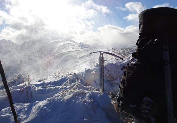 Winter tahr hunting