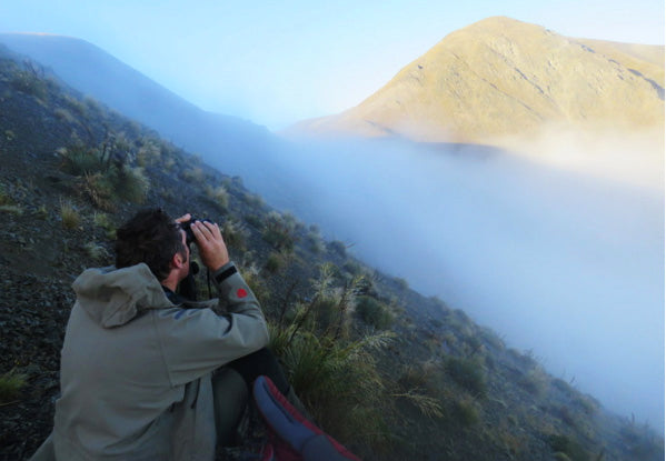 Fogged In