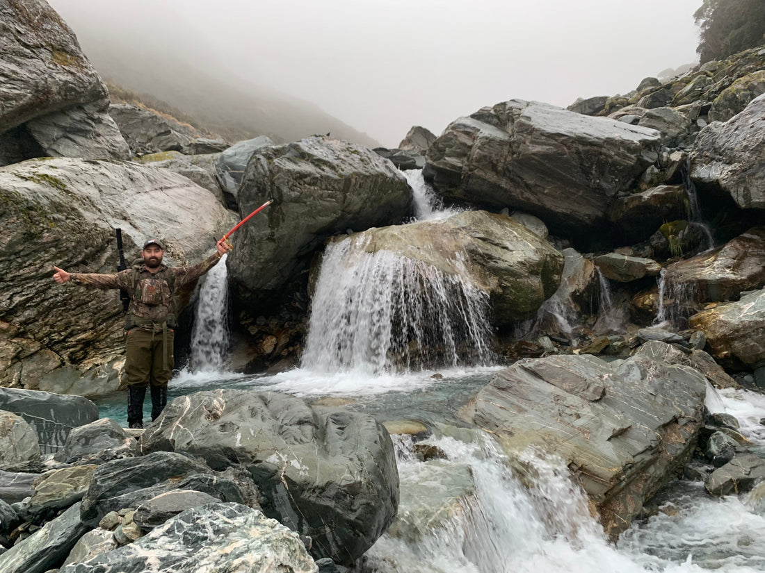 west coast creek tahr hunting new zealand