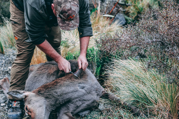 processsing a deer with shaun monk