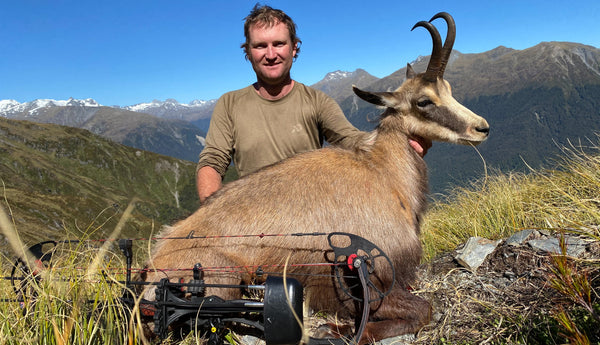summer chamois bowhunting