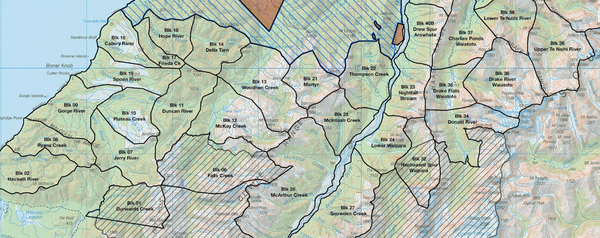 The Haast Roar Ballot. What’s your Chances?