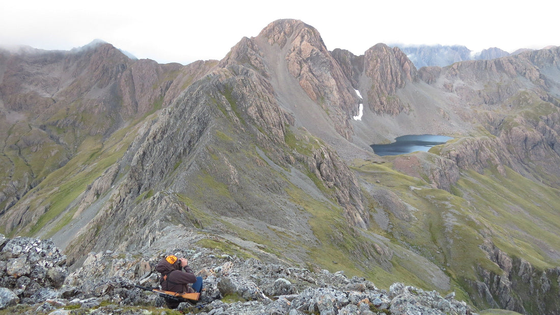 Covering the ground - Along the tops in Summer