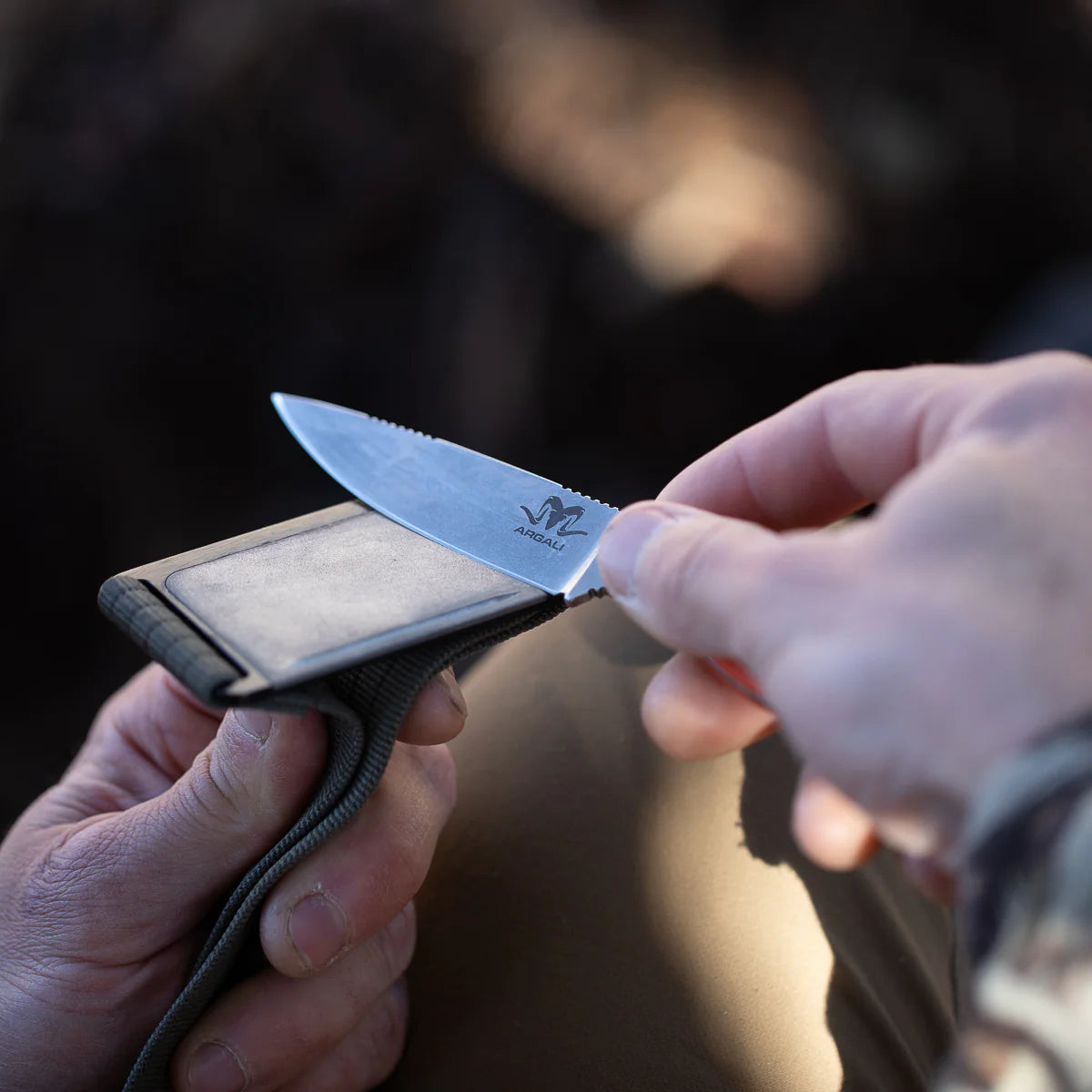 Argali Kodiak Belt 6