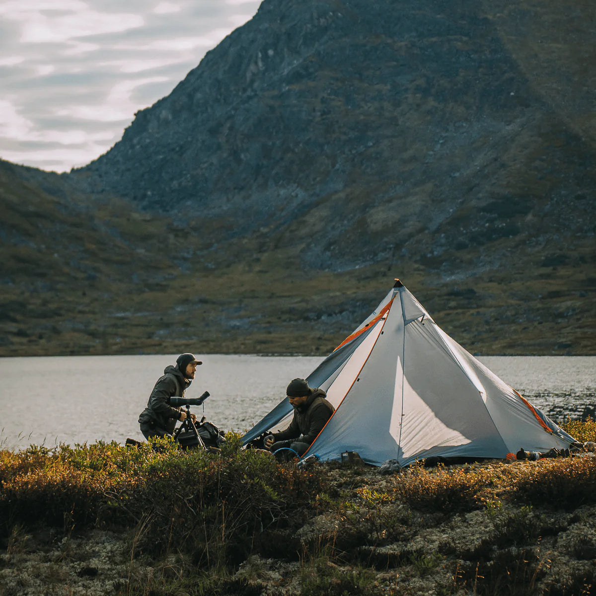 argali tent Argali Absaroka 4p Tent – Points South Shop