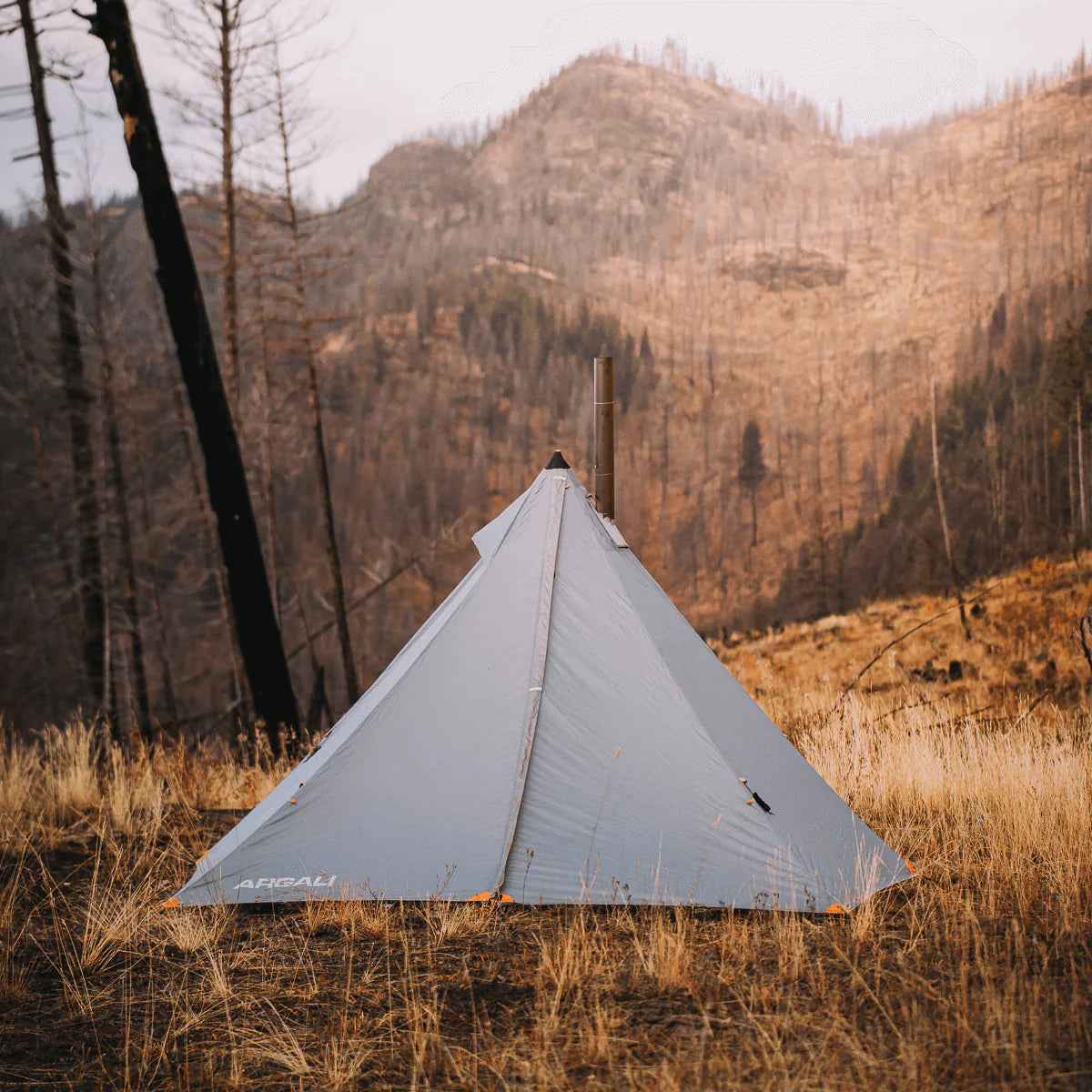 argali tent Argali Absaroka 4p Tent – Points South Shop