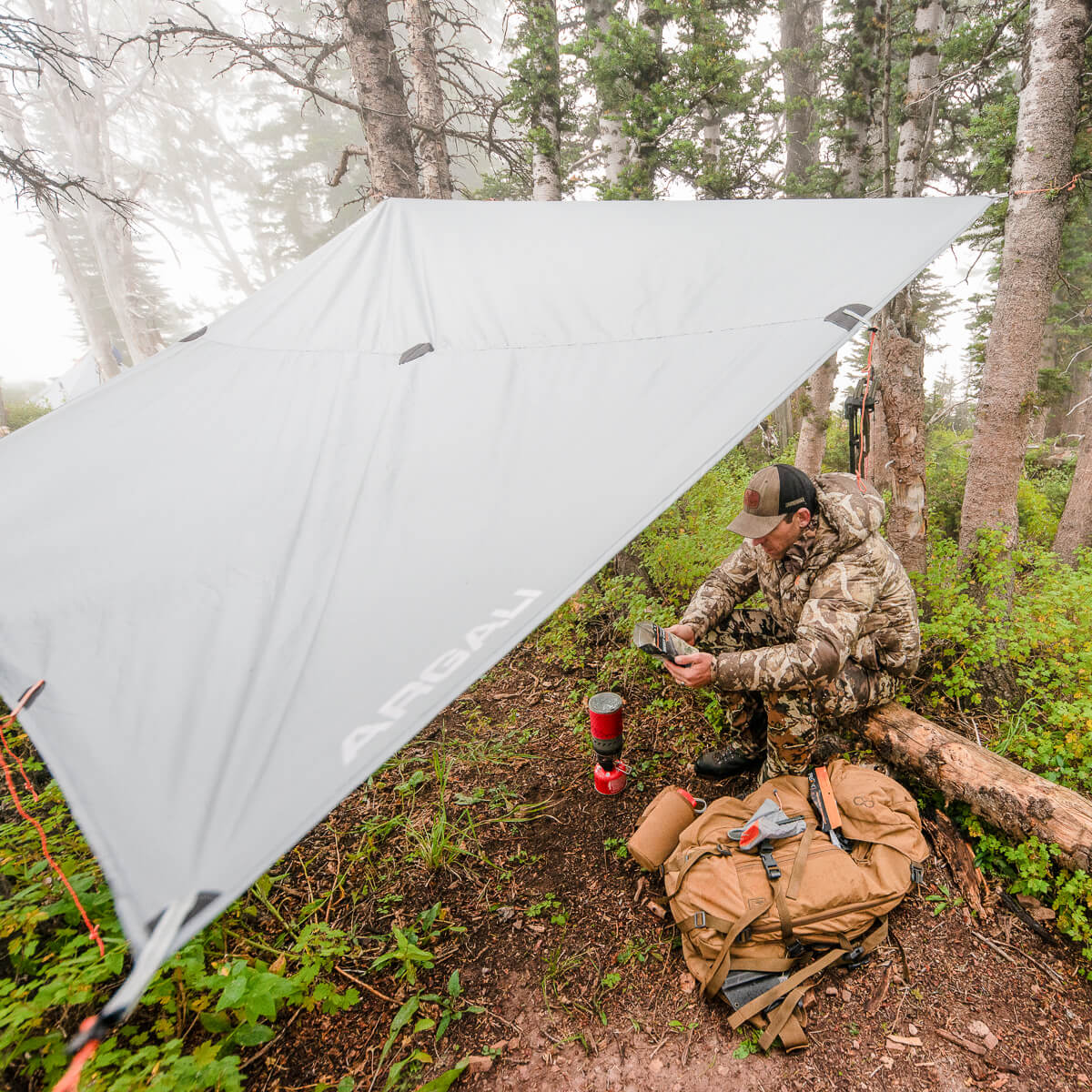 Argali Talus Tarp 9