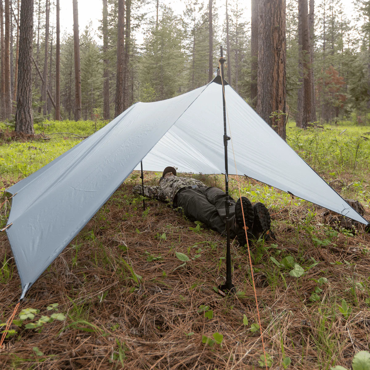 Argali Talus Tarp 10