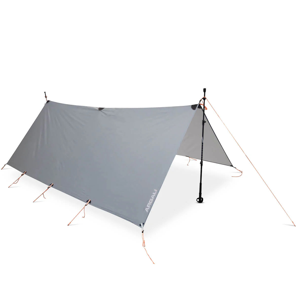 Argali Talus Tarp 1