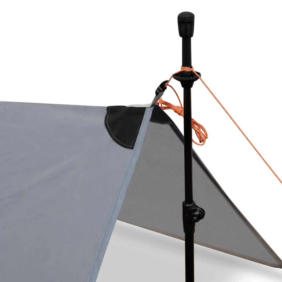 Argali Talus Tarp 2