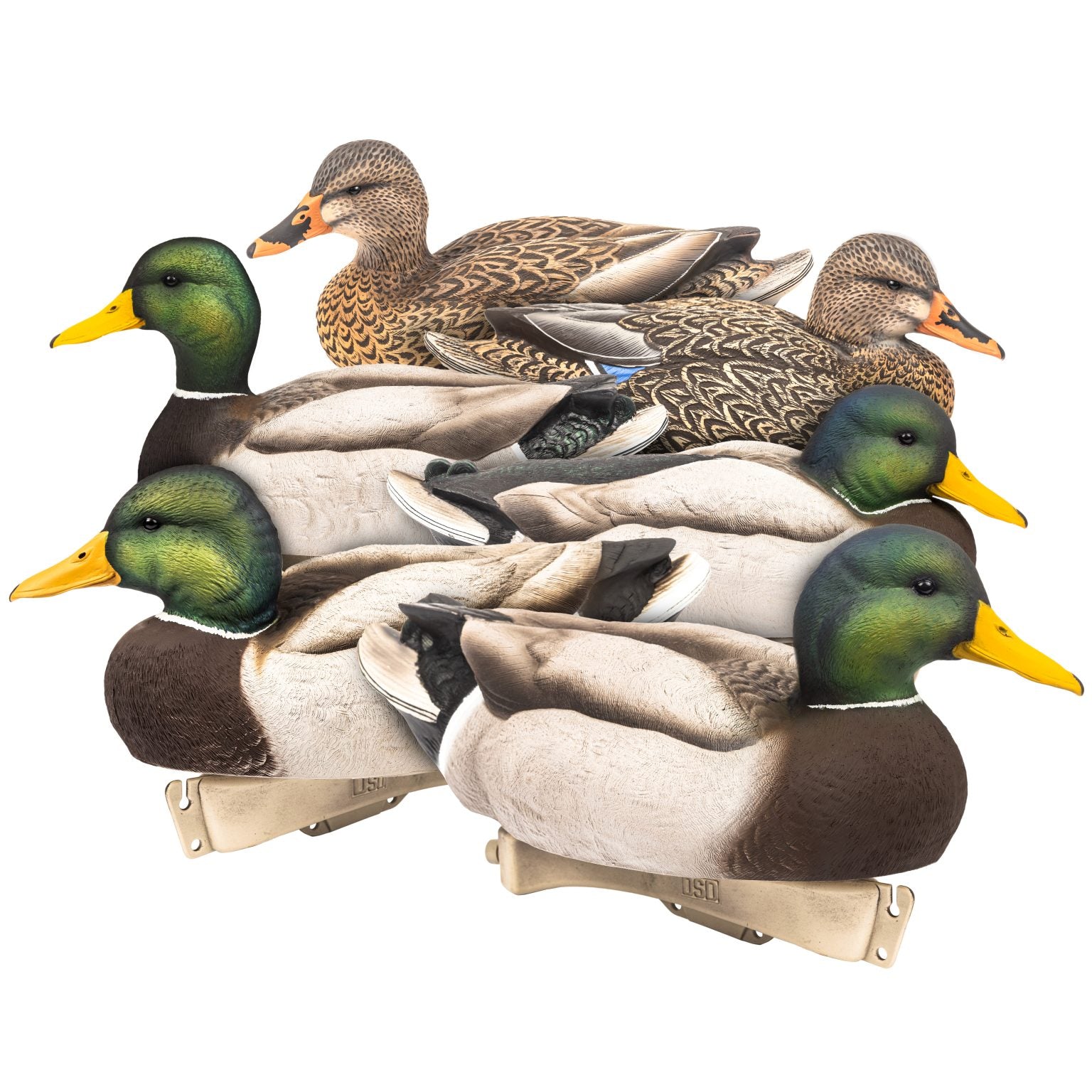 Dave Smith Decoys Maxima Mallards | Floater 6-Pack 1