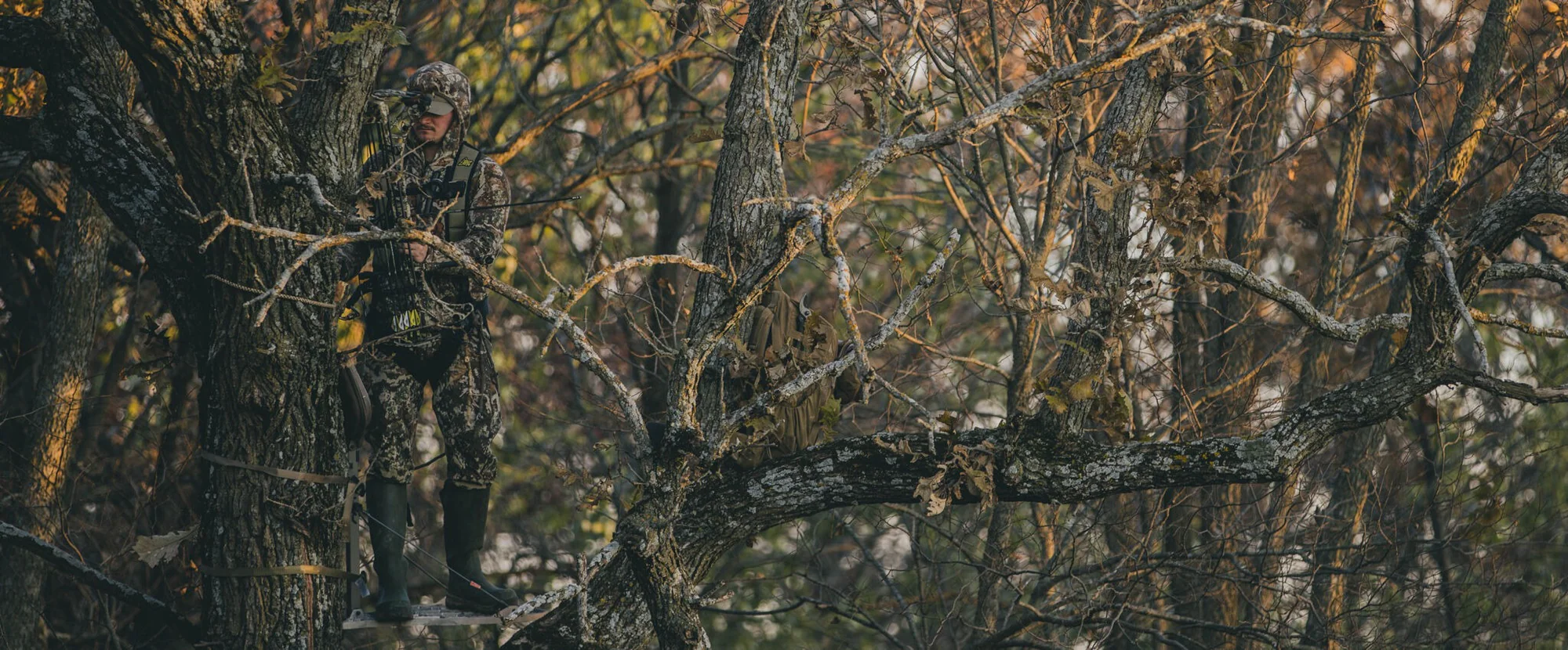 Person in camouflage gear with a bow in a forest setting